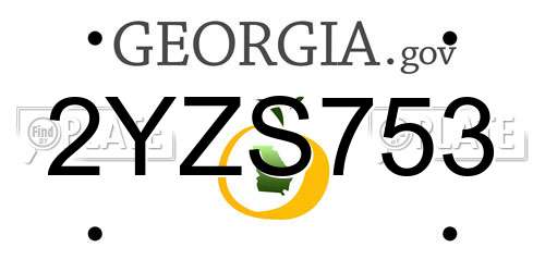 2YZS753 Georgia License Plate