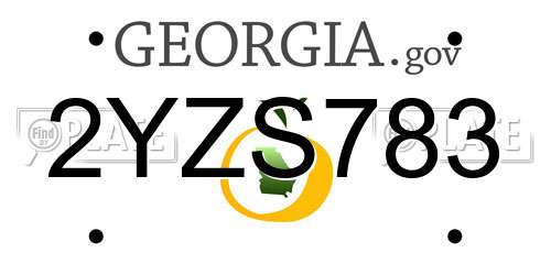2YZS783 Georgia License Plate