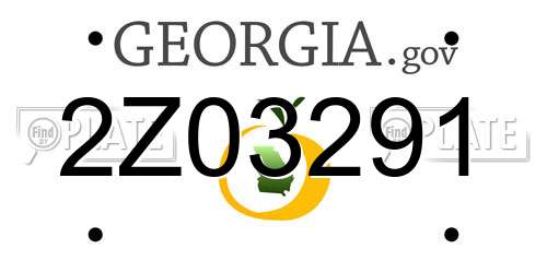 2Z03291 Georgia License Plate