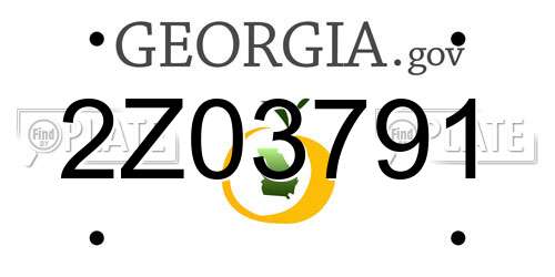 2Z03791 Georgia License Plate