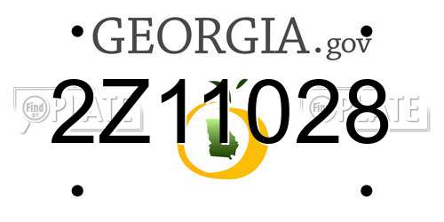 2Z11028 Georgia License Plate