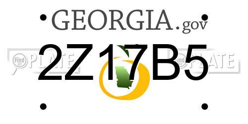 2Z17B5 Georgia License Plate