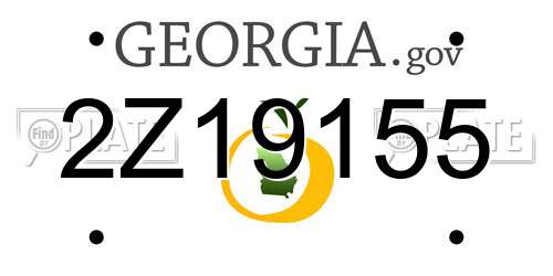 2Z19155 Georgia License Plate