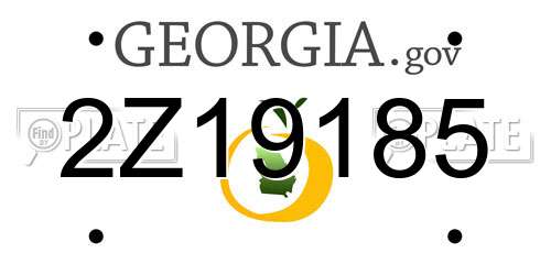 2Z19185 Georgia License Plate