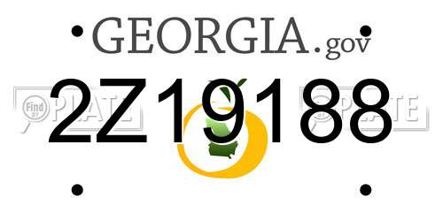 2Z19188 Georgia License Plate