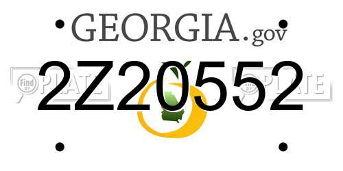 2Z20552 Georgia License Plate