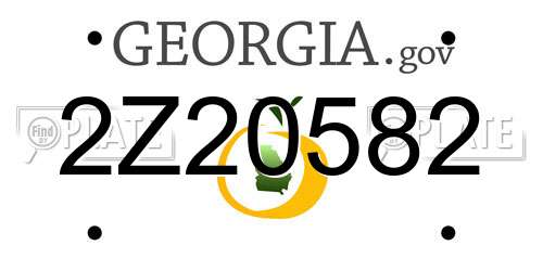 2Z20582 Georgia License Plate