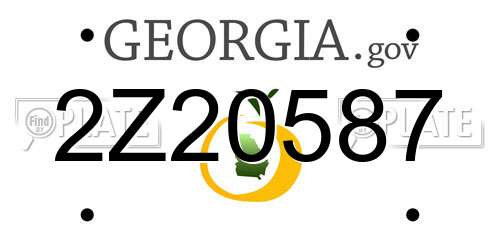 2Z20587 Georgia License Plate
