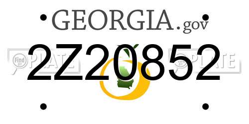 2Z20852 Georgia License Plate