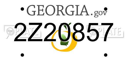 2Z20857 Georgia License Plate