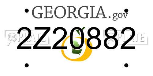 2Z20882 Georgia License Plate