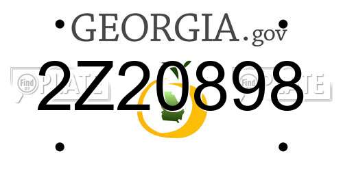 2Z20898 Georgia License Plate