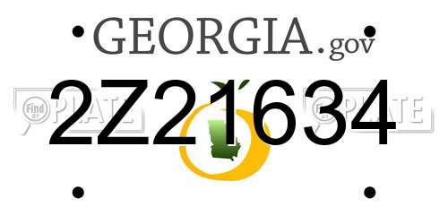 2Z21634 Georgia License Plate