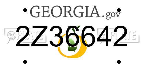 2Z36642 Georgia License Plate