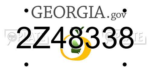 2Z48338 Georgia License Plate