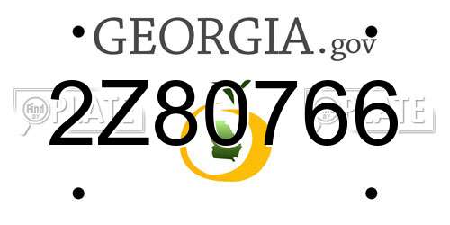 2Z80766 Georgia License Plate