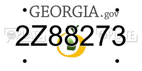 2Z88273 Georgia License Plate