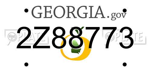 2Z88773 Georgia License Plate