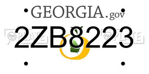 2ZB8223 Georgia License Plate