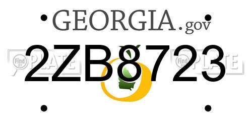 2ZB8723 Georgia License Plate
