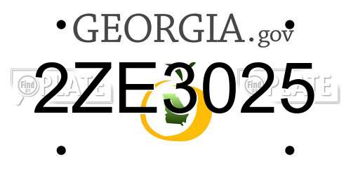 2ZE3025 Georgia License Plate