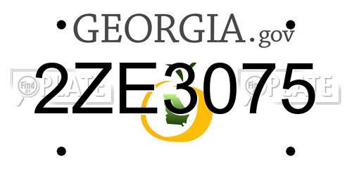 2ZE3075 Georgia License Plate