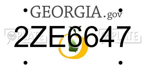 2ZE6647 Georgia License Plate