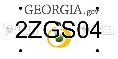 2ZGS04 Georgia License Plate
