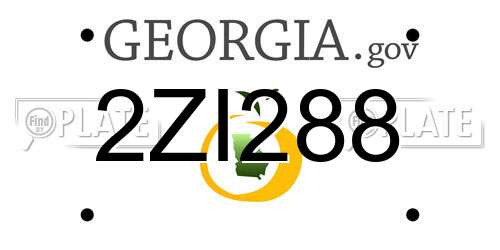 2ZI288 Georgia License Plate