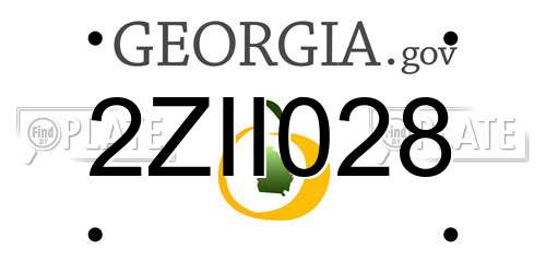 2ZII028 Georgia License Plate