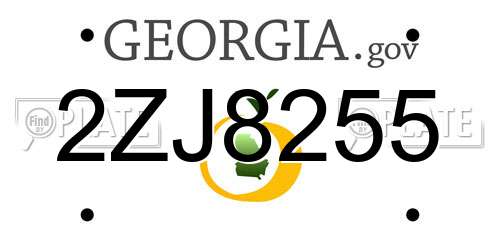 2ZJ8255 Georgia License Plate