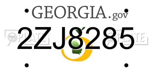 2ZJ8285 Georgia License Plate