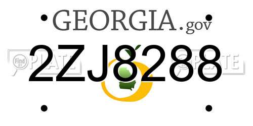 2ZJ8288 Georgia License Plate