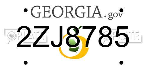 2ZJ8785 Georgia License Plate