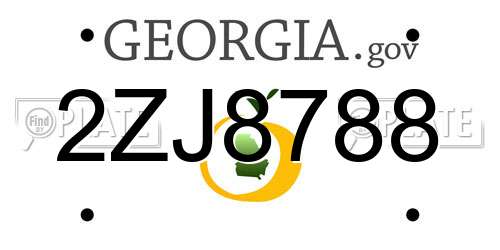 2ZJ8788 Georgia License Plate