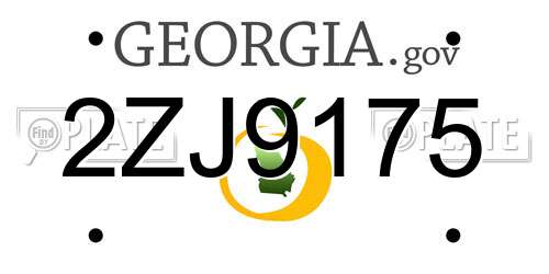2ZJ9175 Georgia License Plate