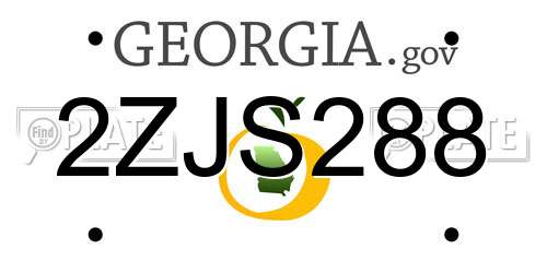 2ZJS288 Georgia License Plate