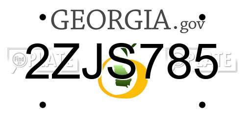 2ZJS785 Georgia License Plate