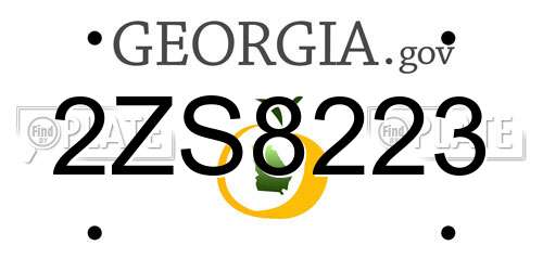 2ZS8223 Georgia License Plate