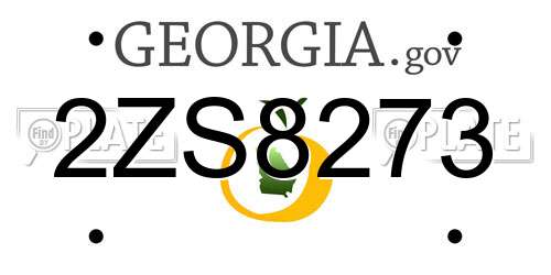 2ZS8273 Georgia License Plate