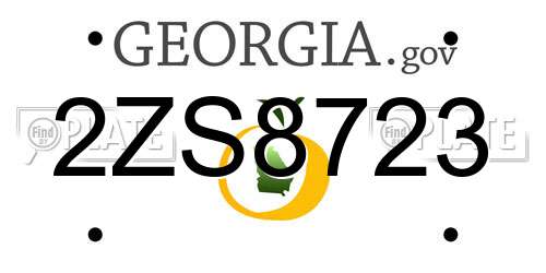 2ZS8723 Georgia License Plate