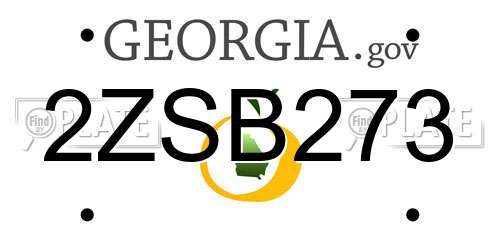 2ZSB273 Georgia License Plate