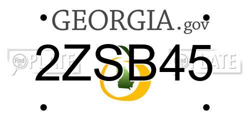 2ZSB45 Georgia License Plate