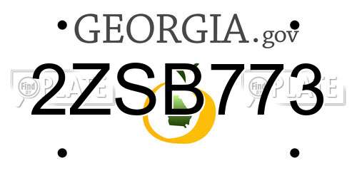 2ZSB773 Georgia License Plate