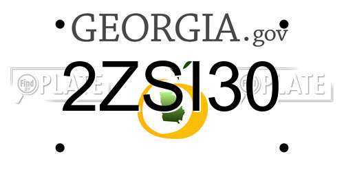 2ZSI30 Georgia License Plate