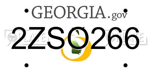 2ZSO266 Georgia License Plate