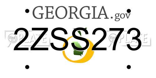 2ZSS273 Georgia License Plate