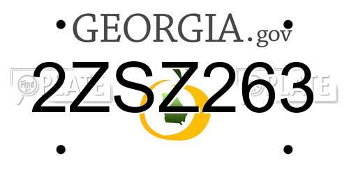 2ZSZ263 Georgia License Plate