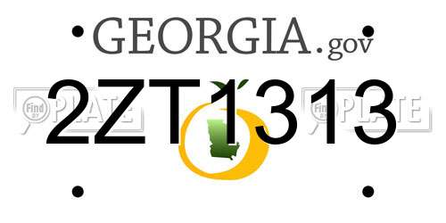 2ZT1313 Georgia License Plate