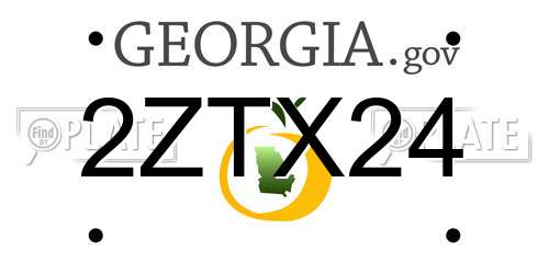 2ZTX24 Georgia License Plate